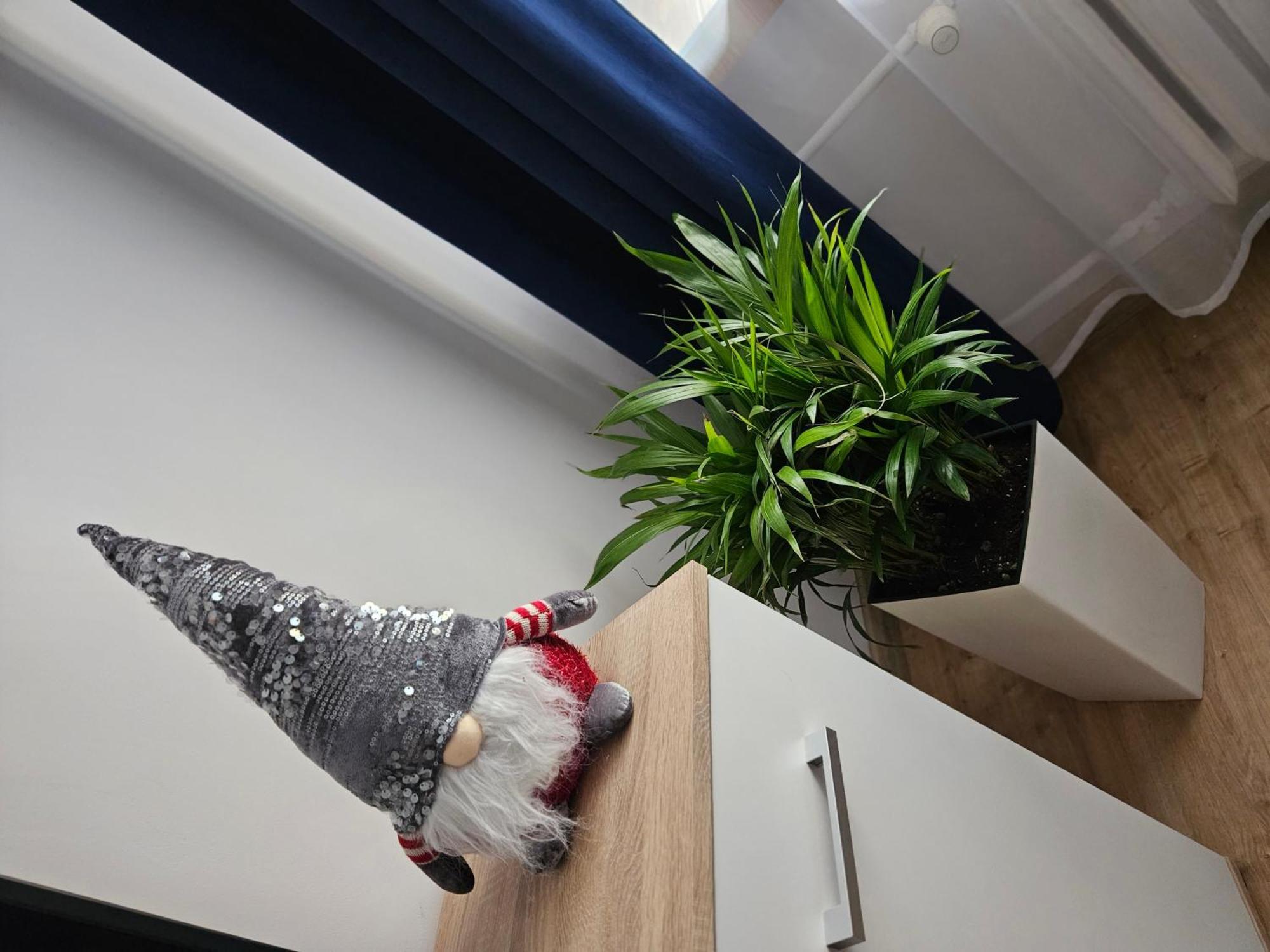 Apartamenty Koktajlove Kielce Rom bilde